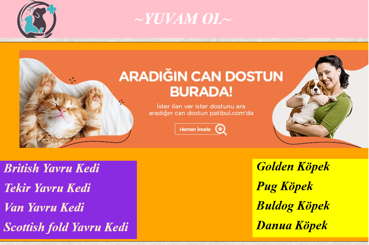 Yuvam Ol (Hayvan Sahiplendirme Web Sitesi)
